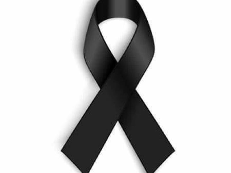 ცაგერის მუნიციპალიტეტის მერია და საკრებულო მწუხარებას გამოთქვამენ ვაკის პარკში...